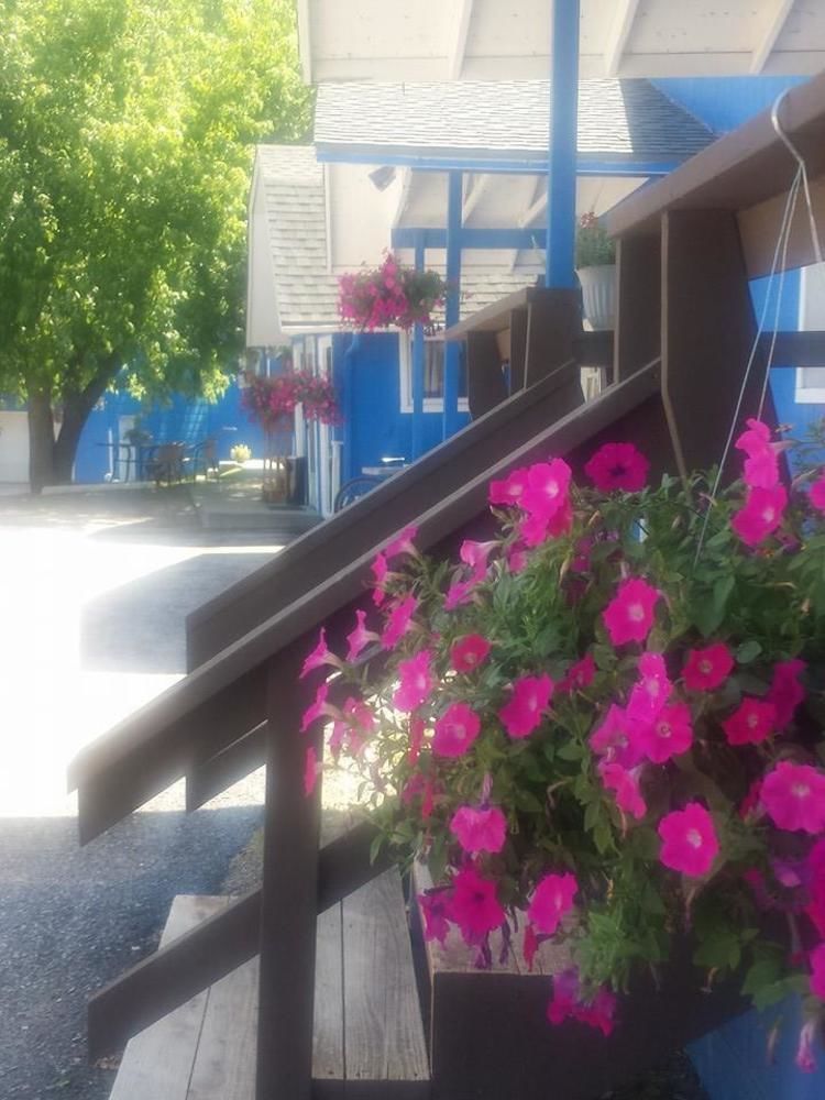 The Brookside Motel / Mt. Rushmore Keystone Buitenkant foto
